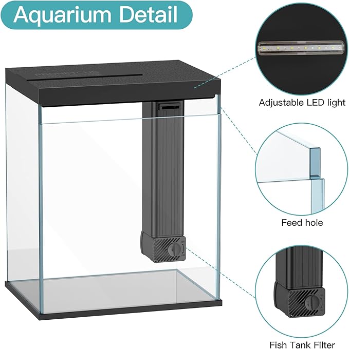 Betta Fish Tank, 2 Gallon Glass Aquarium Starter Kit, Small Fish Tank with Filter and Light.(Black)-PawvioPets