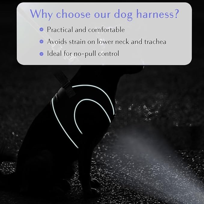 Comfort Fit Dog Harness No Pull with Adjustable Buckles Soft Padded Reflective Choke Step-in Pet Vest with Easy Control Handle for Small Medium Large Dogs & Puppies for Walking Running Training-PawvioPets