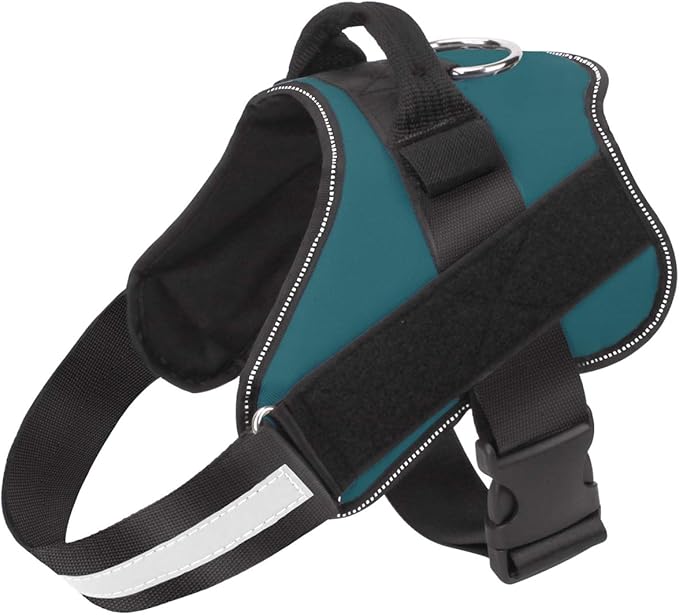 Bolux Dog Harness, No-Pull Reflective Dog Vest, Breathable Adjustable Pet Harness with Handle for Outdoor Walking - No More Pulling, Tugging or Choking (Turquoise, XS)-PawvioPets