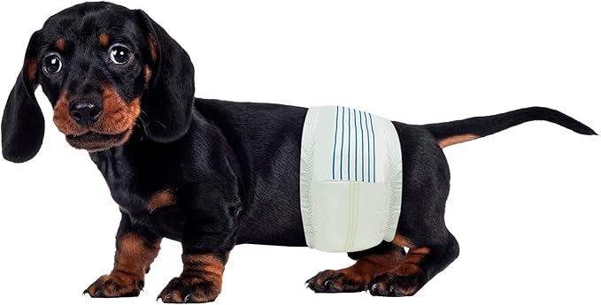 BV Dog Wraps Male Small (Waist 12-19in) Super Absorbent - 400 Count Disposable - Doggie Diapers with Wetness Indicator - Adjustable Male Dog Wraps - Ideal for Incontinence/Training-PawvioPets