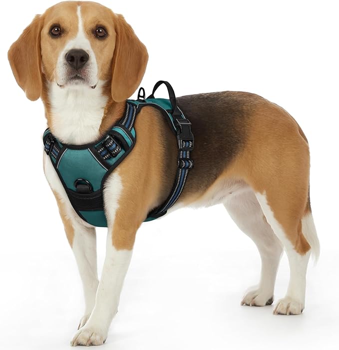 Eagloo Dog Harness Small Sized Dog, No Pull Service Vest with Reflective Strips and Control Handle, Adjustable and Comfortable for Easy Walking, No Choke Pet Harness with 2 Metal Rings, Dark Green, S-PawvioPets