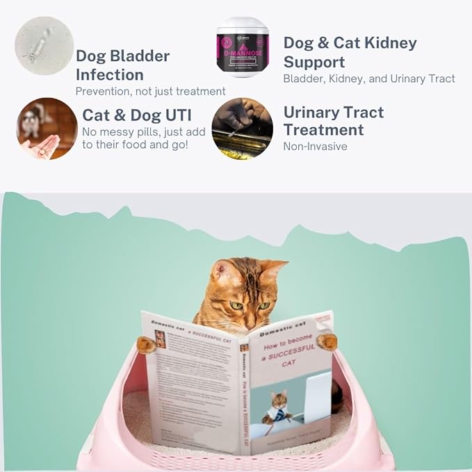 D-Mannose Supplement with Real Chicken for Dogs and Cats. Use for Immediate and Preventative Treatment of Bladder and Urinary Tract Infections UTIs. Stop Kidney Stones. Extra Strength 115 Grams.-PawvioPets