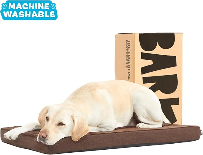 Barkbox Orthopedic Dog Bed with Memory Foam, Premium Comfort for Dogs and Puppies, Dog Bed for Joint Relief and Restful Sleep, Durable and Easy to Clean - Espresso, Large-PawvioPets