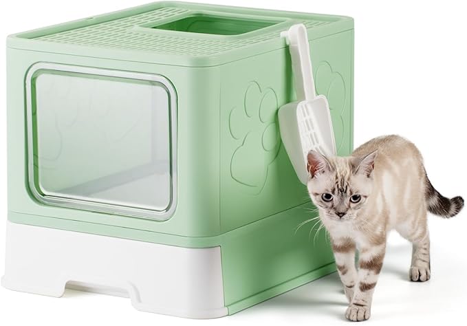 Enclosed Cat Litter Box, Large Litter Box for Big Cats, Covered Kitty Litter Boxes with Lid, Top Entry Cat Box Enclosure with Scoop, Odor Control, Easy to Clean(Green)-PawvioPets