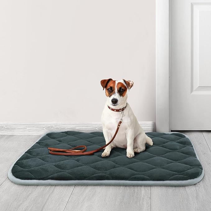 furrybaby Dog Crate Pad for Dog Cages Flat Crate Mat Kennel Pad with Anti-Slip Bottom Machine Washable for Pet Bed Sleeping (S 24x18'', Grey Mat)-PawvioPets