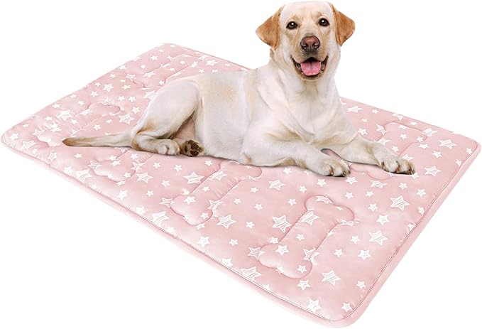 Dog Crate Mat (36" X 23"), Soft Dog Bed Mat with Cute Prints, Personalized Crate Pad, Anti-Slip Bottom, Machine Washable Kennel Pad-PawvioPets