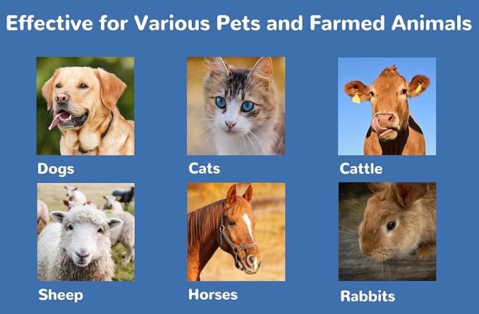 Eye Health Cream for Cats, Dogs, Pets, Cattle, Sheep, Horse, Bird 1/8 oz /3.5gr - 1Pcs-PawvioPets