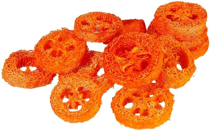 15 Pcs Fruit Flavored Loofah Slices Rabbit Chew Toys Guinea Pig Chew Toys Small Pet Chews Bunny Toys for Teeth Rabbit Toys-PawvioPets