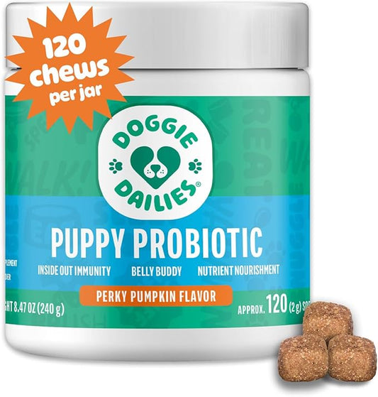 Doggie Dailies Puppy Probiotic, Probiotics for Puppies with Digestive Enzymes, Promotes Digestive Health, Supports Immune System & Overall Development (Pumpkin) 120 Soft Chews-PawvioPets