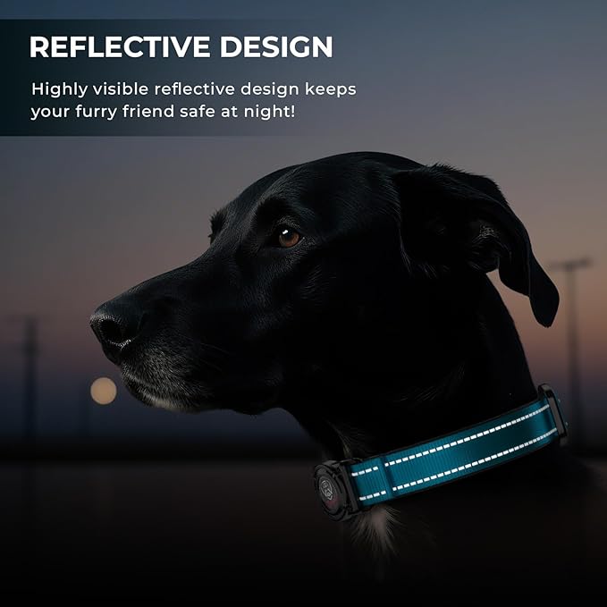 2025 Upgrade Airtag Dog Collar, Reflective Dog Collar with Airtag Holder, IP68 Waterproof| Metal Buckle| Ultra-Durable| Comfortable Padded, GPS Dog Collars for Medium Large Dogs (Blue,L)-PawvioPets