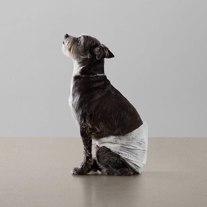 Amazon Basics Male Dog Diapers, 30 Count, Small, Ultra Absorbent Disposable Wrap with Secure Fit, Leakproof and Comfortable-PawvioPets