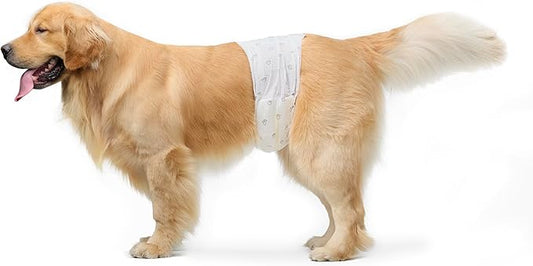 Amazon Basics Male Dog Diapers, 30 Count, Large, Ultra Absorbent Disposable Wrap with Secure Fit, Leakproof and Comfortable-PawvioPets
