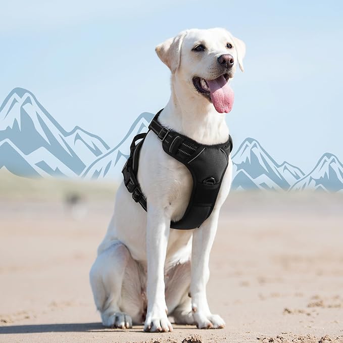 Eagloo Dog Harness for Large Dogs, No Pull Service Vest with Reflective Strips and Control Handle, Adjustable and Comfortable for Walking, No Choke Pet Harness with 2 Metal Rings, Black, L-PawvioPets
