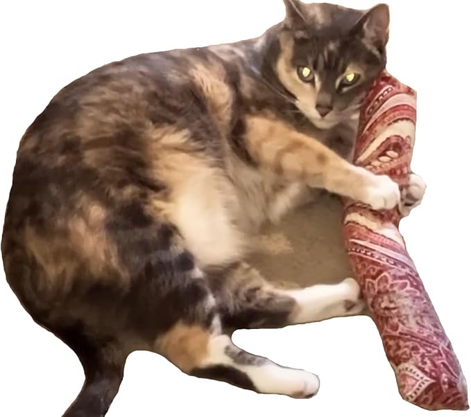 15" Catnip Cat Kicker Toys/Kitty Kick Sticks/Cat-Nip Kick Sticks (Ruby Red) (Kickers Filled with 1 oz Premium Canadian Catnip)-PawvioPets