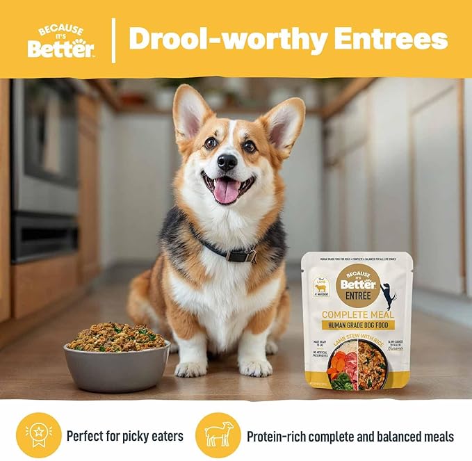 Because it's Better Entrée Complete Meal, Lamb Stew with Rice, Human Grade Wet Dog Food, 10 oz Pouches, 6 Count-PawvioPets