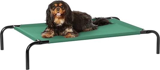 Amazon Basics Cooling Breathable Elevated Dog Bed with Metal Frame for Small Dogs, 36 x 22 x 7.5 Inch, Green-PawvioPets