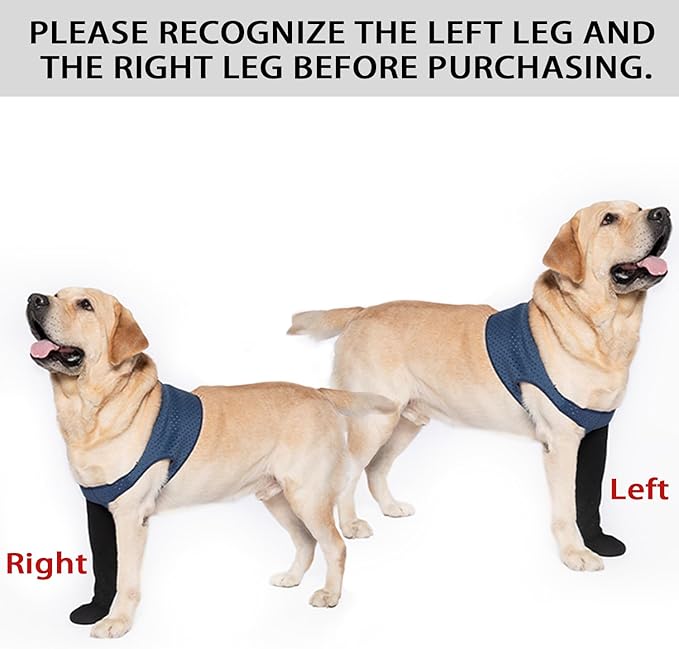 COODEO Dog Socks to Prevent Licking Paws, Healing Boots & Paw Protectors with Non-Slip Bottoms for Wound Protection, Waterproof Sleeve Shoes for Licking（Blue，L_Right-PawvioPets