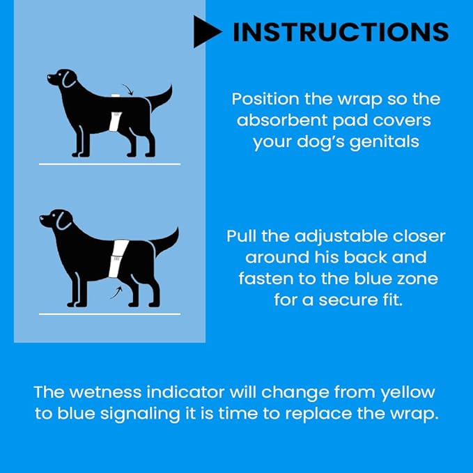 BV Dog Diapers Male Small (Waist 12-19in) Super Absorbent - 50 Count Disposable - Doggie Diapers with Wetness Indicator - Adjustable Male Dog Wraps - Ideal for Incontinence/Training-PawvioPets