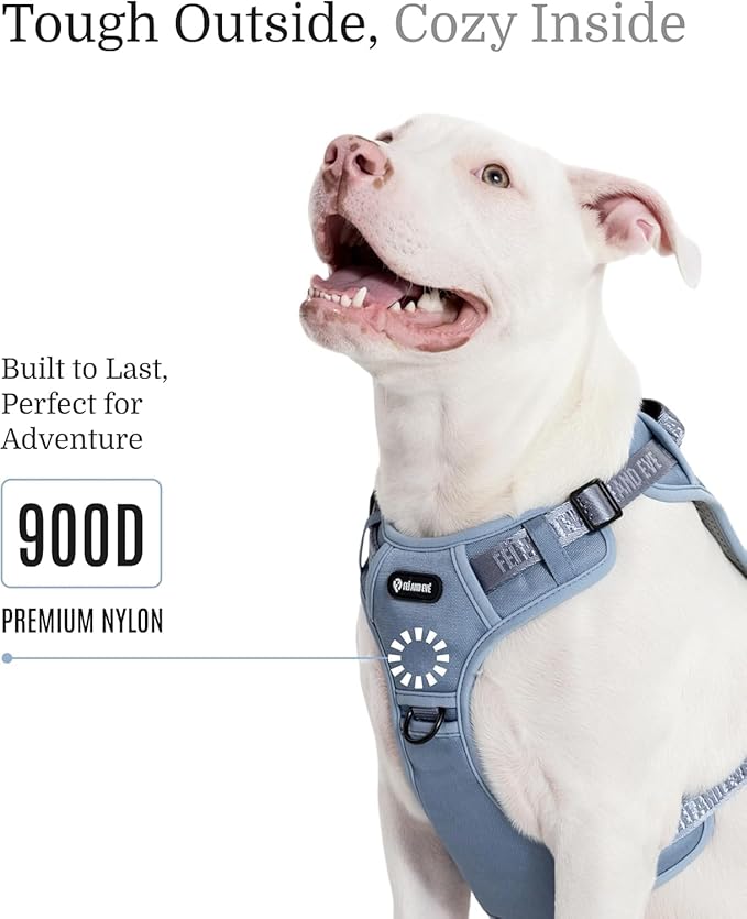2025 New Edition, Fei & Eve MagEase Dog Harness - 3-Second Magnetic Buckles | 3-Point No-Pull Control | Heavy-Duty 900D Nylon | Dual Safety Handles | Breathable Mesh | Adjustable Fit |Small, Blue-PawvioPets