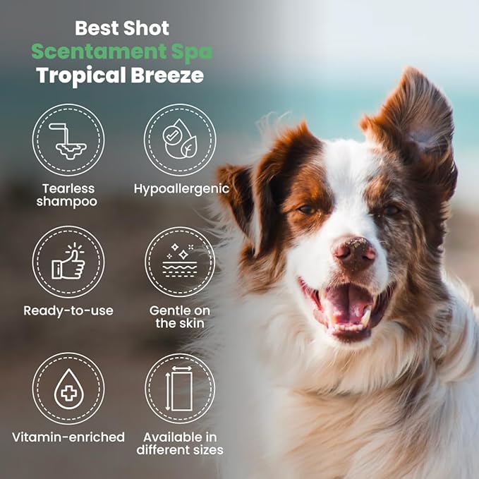 Best Shot Scentament Spa Tropical Breeze Seasonal Facial & Body Wash, 1 Gallon-PawvioPets