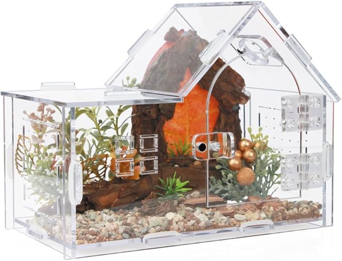 Acrylic Jumping Spider Enclosure - Versatile Reptile Enclosure with One-Click Magnetic Closure, Perfect for Tarantula, Gecko, Chameleon, Beetle, Mantis, and Hermit Crab-PawvioPets