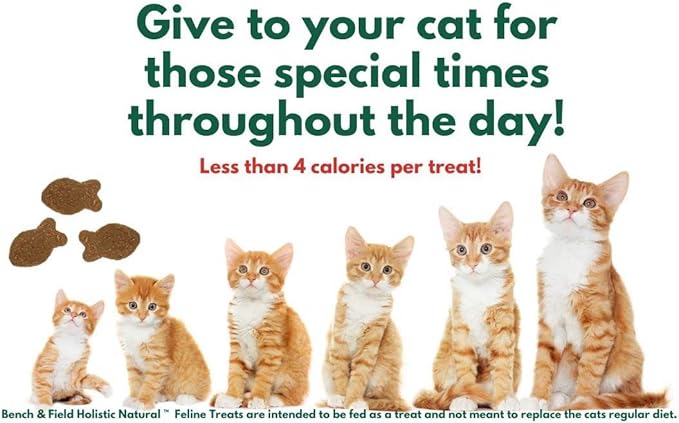 Bench & Field Holistic Natural Healthy Kitty Cat Treats | Crunchy Fish-Shaped Bites | Delicious Seafood Flavored Snack, 3-Ounce (Pack of 12 Bottles)-PawvioPets