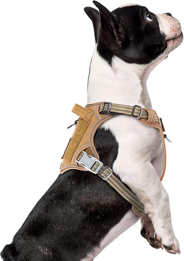 BUMBIN Dog Harness, Tactical XS, Brown, No Pull, Adjustable, Reflective, Soft Cotton, for Small Dogs Training, Fit Smart-PawvioPets