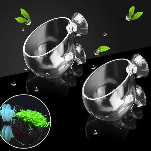 capetsma 2X Crystal Glass Aquatic Plant Pot, Planter, Red Shrimp Live Plants Fish Tank Holder with 4X Suction Cups for Aquarium Aquascape Decoration…-PawvioPets