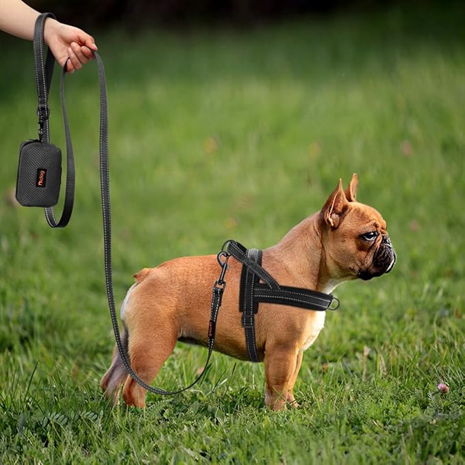 Didog No Pull Dog Harness with Soft Mesh Padded,Reflective & Quick Fit Light Weight Dog Strap Vest Harness,Easy for Walking Training (S:Chest 18-22", Mesh-Black)-PawvioPets