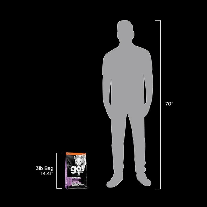 Go! Solutions Carnivore, Grain-Free, Protein Rich Dry Cat Food, Chicken, Turkey and Duck Recipe, 3 lb Bag-PawvioPets