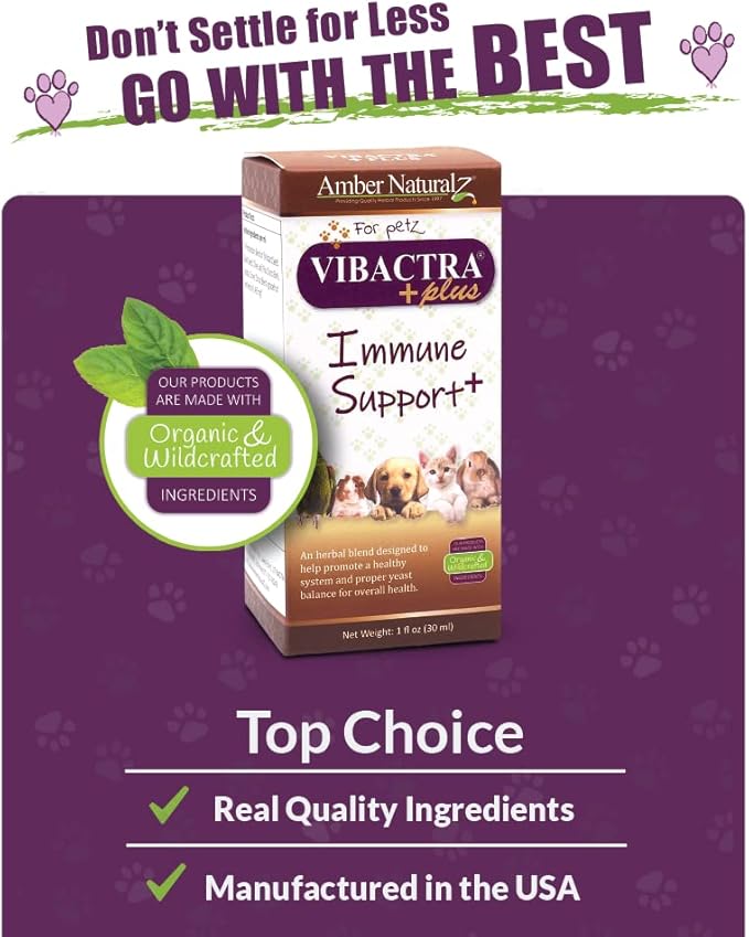 Amber NaturalZ Vibactra Plus Herbal Supplement for Dogs, Cats, Birds, Guinea Pigs, and Rabbits | Herbs for Immune Health and Yeast Balance | 1 Fluid Ounce Glass Bottle-PawvioPets