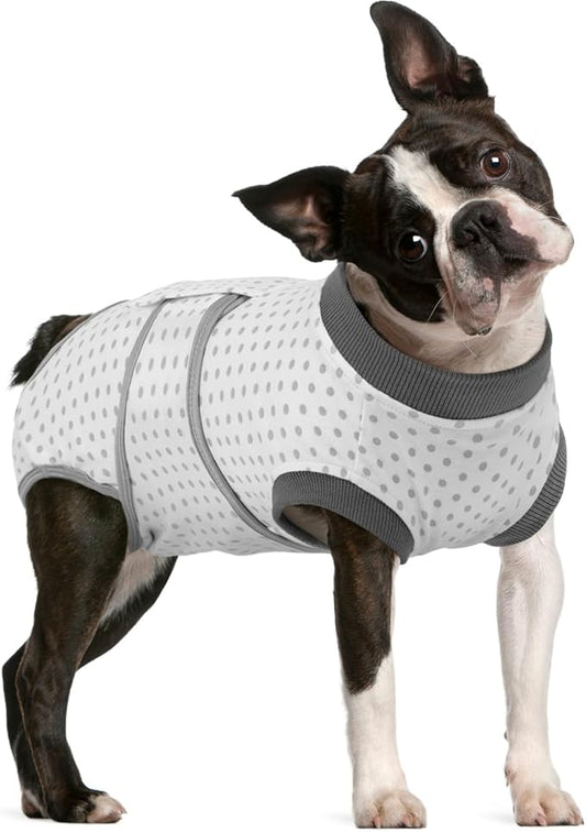 FUAMEY Dog Recovery Suit Male,Dogs Surgery Neuter Suits Puppy Spay Shirts for Female Protect Dog's Skin Anti Licking Abdominal Wounds Doggie Onesie Pet Bodysuit Alternative to Cone Polka Dot M-PawvioPets