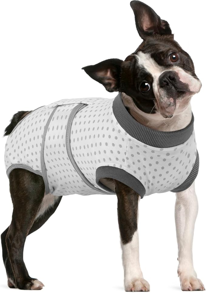 FUAMEY Dog Recovery Suit Male,Dogs Surgery Neuter Suits Puppy Spay Shirts for Female Protect Dog's Skin Anti Licking Abdominal Wounds Doggie Onesie Pet Bodysuit Alternative to Cone Polka Dot L-PawvioPets
