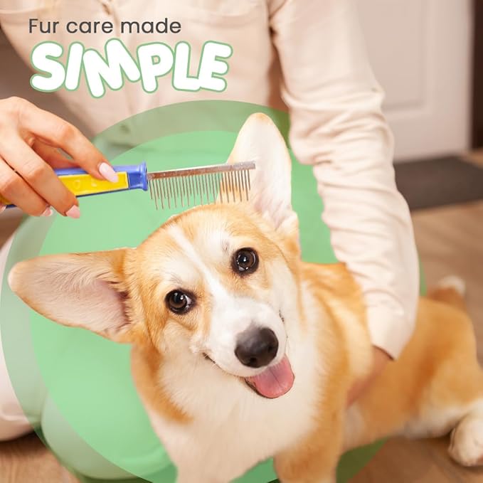 Best Shot Scentament Spa Seasonal Facial & Body Wash, Mango Maui, 16 oz-PawvioPets