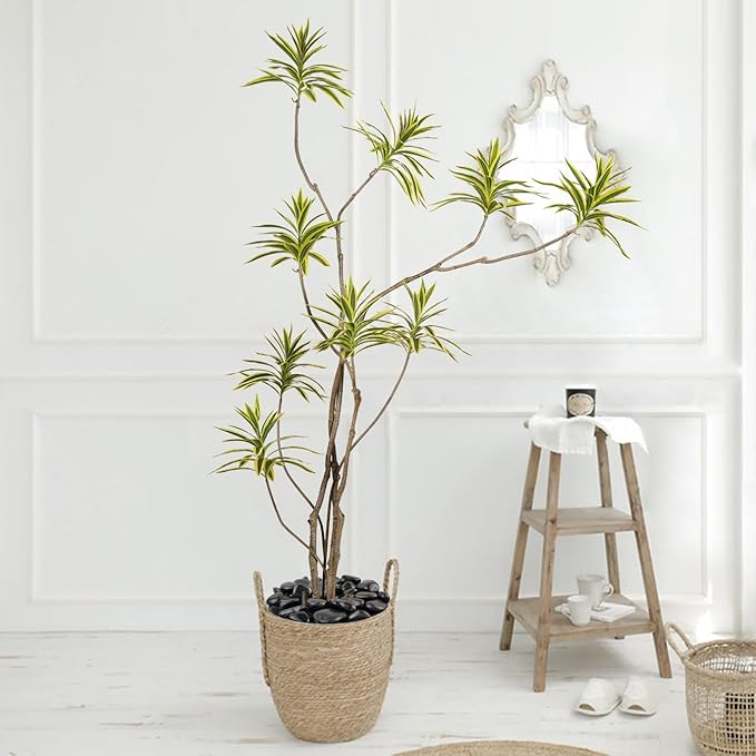 5 lbs Natural Polished Black River Rocks, 1-2 inch Decorative Pebbles for Indoor Plants. Black Stones for Planters, Vase, Garden Landscape Rocks and Outdoor Decorative Stones-PawvioPets