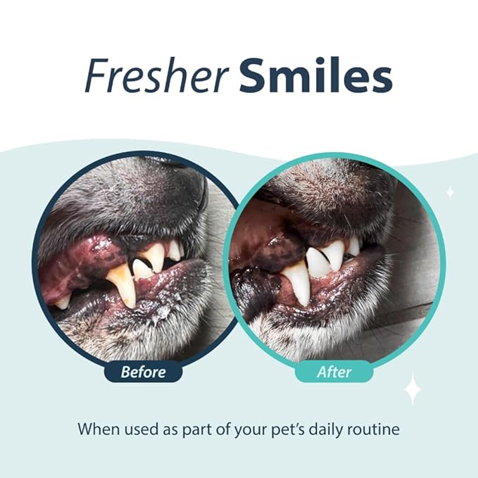 Dental Fresh Water Additive for Dogs, Original Formula, 17oz – Dog Breath Freshener and Teeth Cleaning for Dental Care– Add to Water-PawvioPets