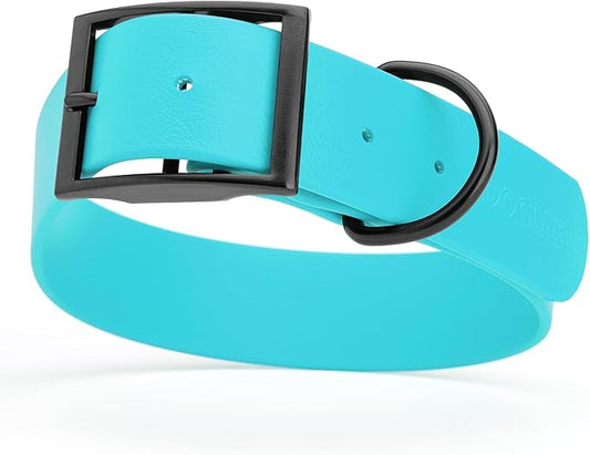 Dogline Biothane Waterproof Dog Collar Strong Coated Nylon Webbing with Black Hardware Odor- Proof for Easy Care Easy to Clean High Performance Fits Small Medium or Large Dogs, Sky Blue-PawvioPets