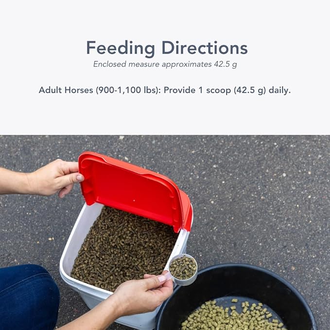 Gastro-Plex (6 lb) Supports Gut Health and Hindgut Digestion in Horses-PawvioPets