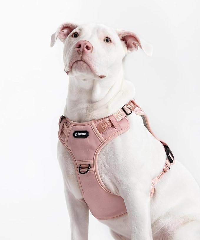 2025 New Edition, Fei & Eve MagEase Dog Harness - 3-Second Magnetic Buckles | 3-Point No-Pull Control | Heavy-Duty 900D Nylon | Dual Safety Handles | Breathable Mesh | Adjustable Fit | X-Large, Pink-PawvioPets