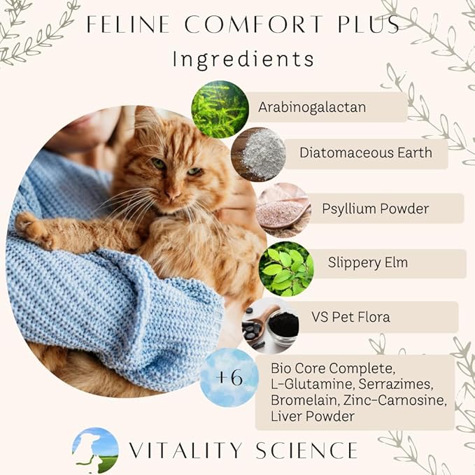 Feline Comfort Plus, Extra Drying Digestive Aid, GI Support Helps with Vomiting and Diarrhea, 100% Additive Free (Liver, Large)-PawvioPets