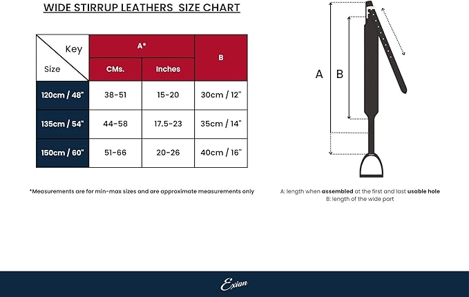 Exion Wide Stability Stirrup Leathers for English Saddles | Premium Cowhide Leather | Enhanced Leg Stability & Comfort | Sizes: 48" to 62"-PawvioPets