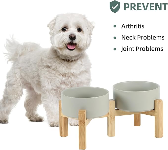 Ceramic Raised Double Bowls Set with Stand, 2 Heights Elevated, Food & Water Bowls for Small Breed Dogs, Weighted Dog Dishes, Pet Bowl(6.1'',28.7oz, Grey)-PawvioPets
