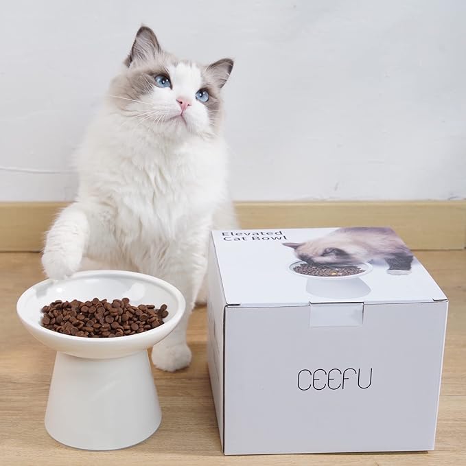 Extra Wide Elevated Ceramic Cat Bowl - 6.2" Shallow Dish for Whisker Fatigue Relief, 5" Height for Easy Feeding, Lead & Cadmium Free, Durable Raised Cat Food Bowls, White-PawvioPets