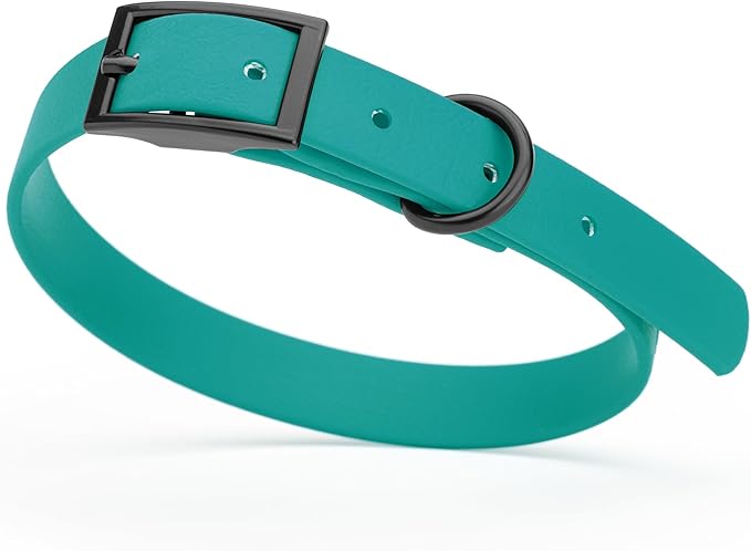 Dogline Biothane Waterproof Dog Collar Strong Coated Nylon Webbing with Black Hardware Odor- Proof for Easy Care Easy to Clean High Performance Fits Small Medium or Large Dogs, Blue Aqua-PawvioPets