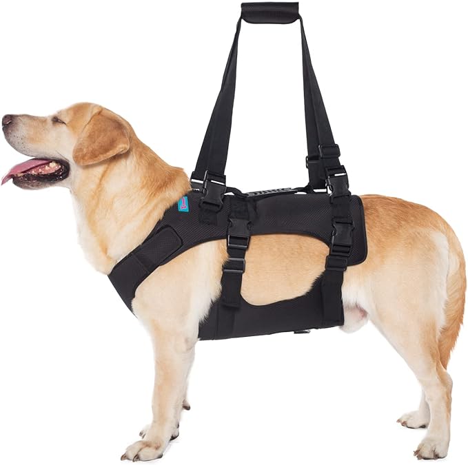 Dog Lift Harness, Rehabilitation Lifts Vest for Dogs, Support & Recovery Sling, Adjustable Breathable Lifting Straps for Old, Joint Injuries, Arthritis, Paralysis Dogs Walk (M, Black)-PawvioPets