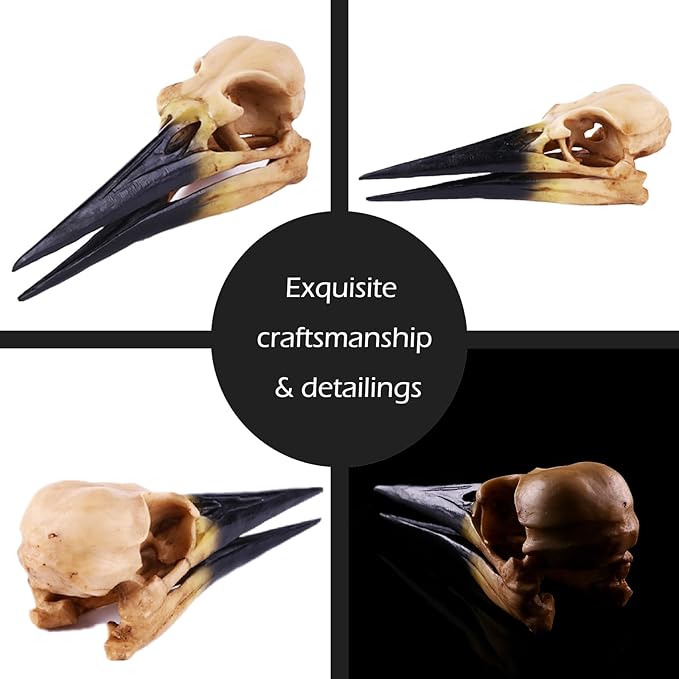 Fish Cave Hideout Ornament Décor for Terrarium Dinosaur Animal Skull Aquarium Large Decorations Betta Tarantula Reptile Snake Decor Bones Halloween-PawvioPets