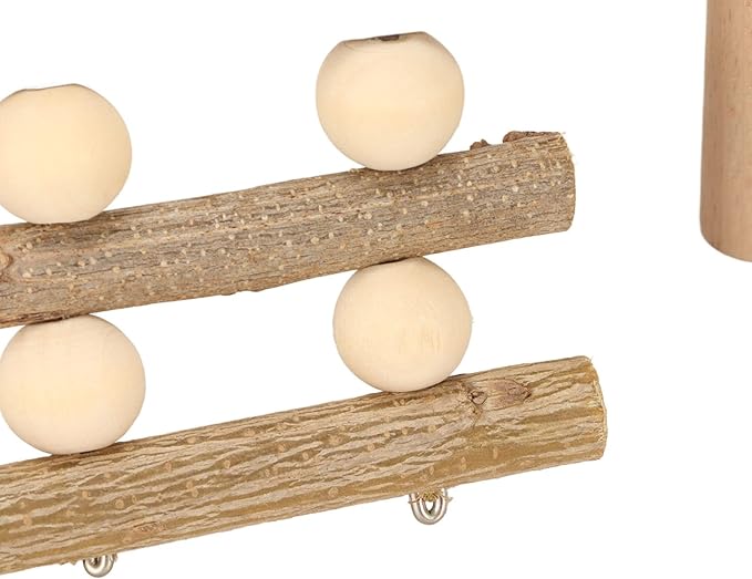 Diydeg Hamster Wooden, 2 Layer Small Hamster Stand Playground with Ladder, Hamster Climbing Toy Cage Accessories for Squirrel Gerbil Chinchilla Parrot Bird Small Animals-PawvioPets