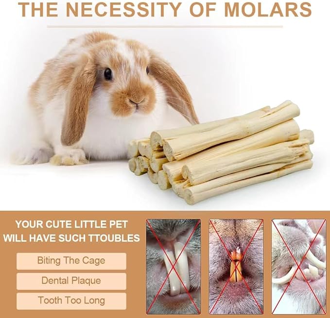 300g Guinea Pig & Rabbit Chew Toys with Apple & Timothy Sticks - Prevent Overgrown Teeth with Sweet Bamboo Treats - Ideal Rabbit Treats Included!-PawvioPets