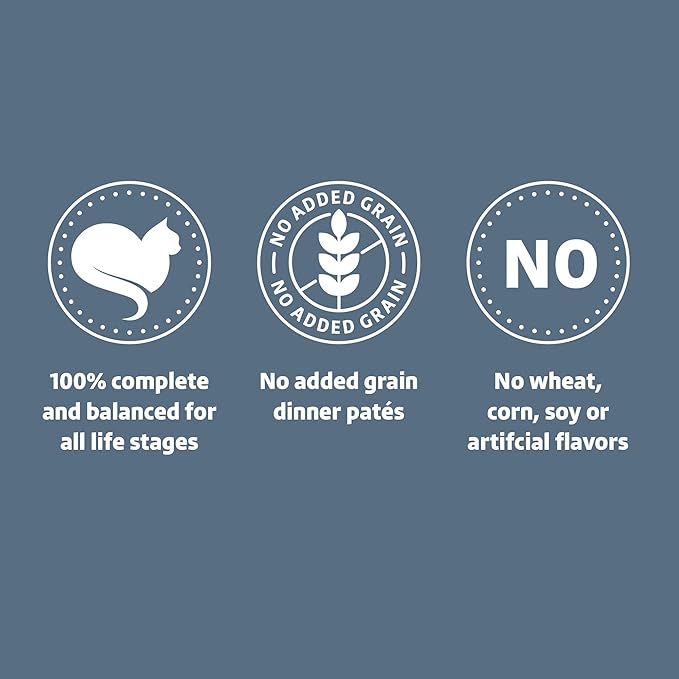 Amazon Brand - Wonder Bound Wet Cat Food, Pate, No Added Grain, (Whitefish & Tuna), 3 ounce (Pack of 24)-PawvioPets