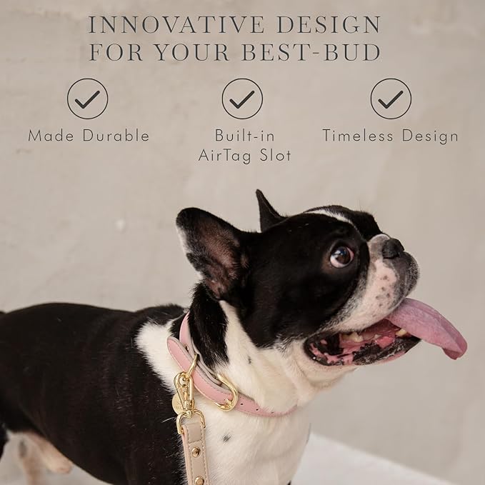 Cupertino Dog Collars, Harnesses & Leashes Made from Vegan Leather with Dog Tracker Device Holder Adjustable Dog Collar (Large, Pink)-PawvioPets